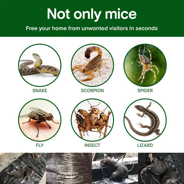 Black glue trap detail showing pests it can catch and captured rodents
