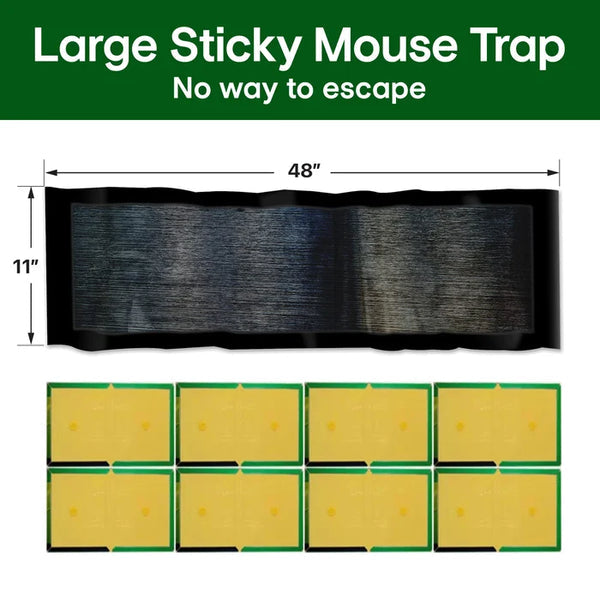 Black glue trap size diagram in black with measurements and comparison sheets