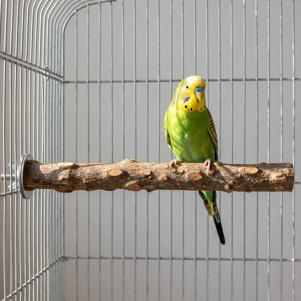Green and yellow budgie perched on a knotty wooden branch perch mounted inside a metal cage, showing the perch in use. 2