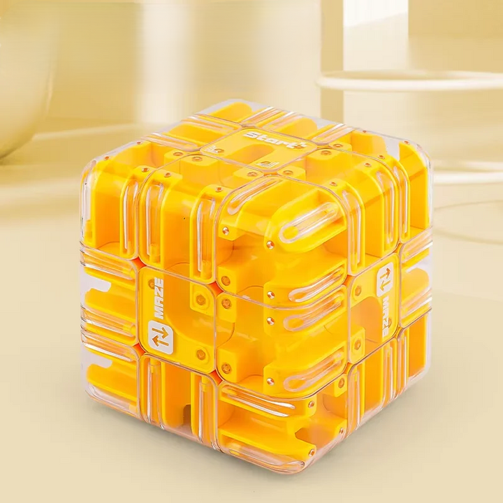 Three Dimensional Maze Cube - Labyrinx