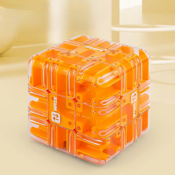 Three Dimensional Maze Cube - Labyrinx