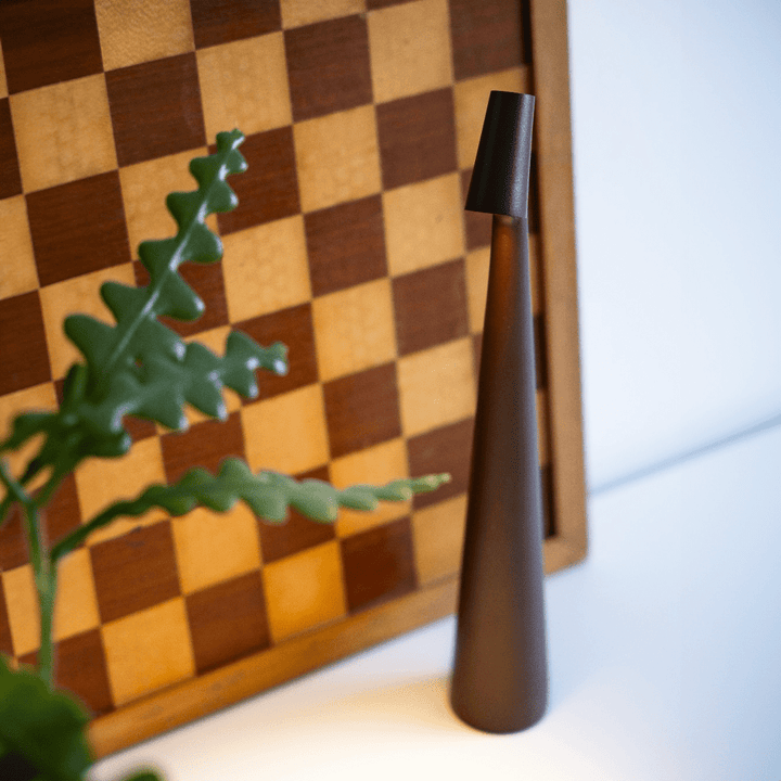 Close-up of a slim dark brown cone-shaped lamp, switched off, standing before a vintage checkerboard and a green fern. 2