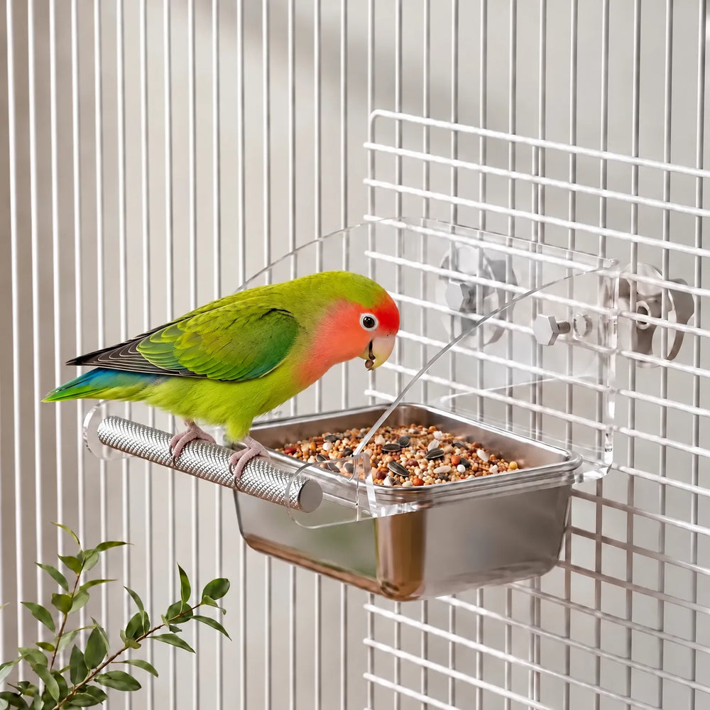Green lovebird with a red face perched on the feeder's metal bar, eating seeds, mounted on a wire cage. 2