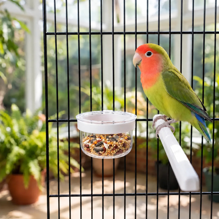 Bowl filled with mixed seed hanging on the wires of a black cage, with a green and orange lovebird perched beside it. 2