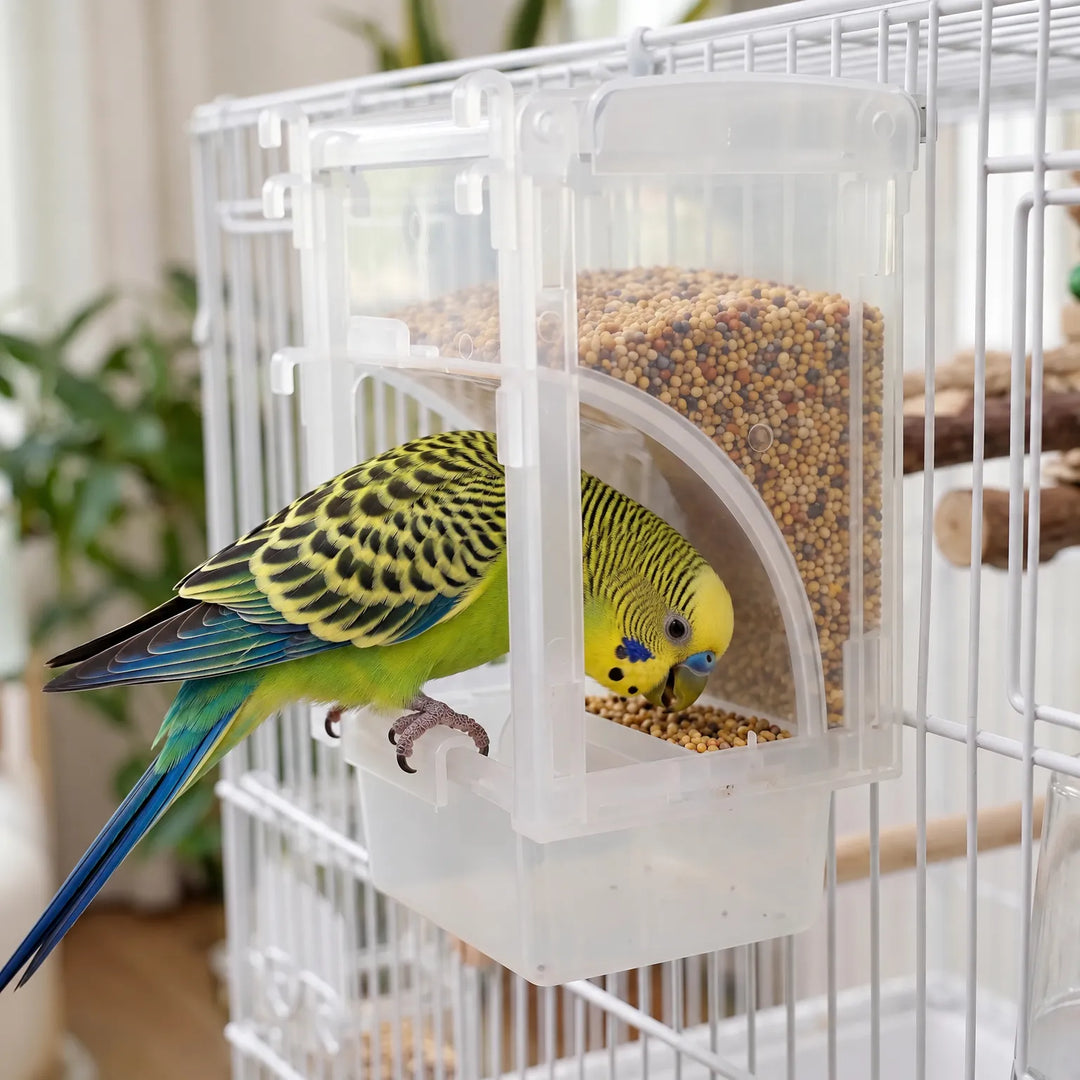 Green and yellow budgie perched on the feeder tray inside a white wire cage, eating from the seed-filled clear hopper. 2