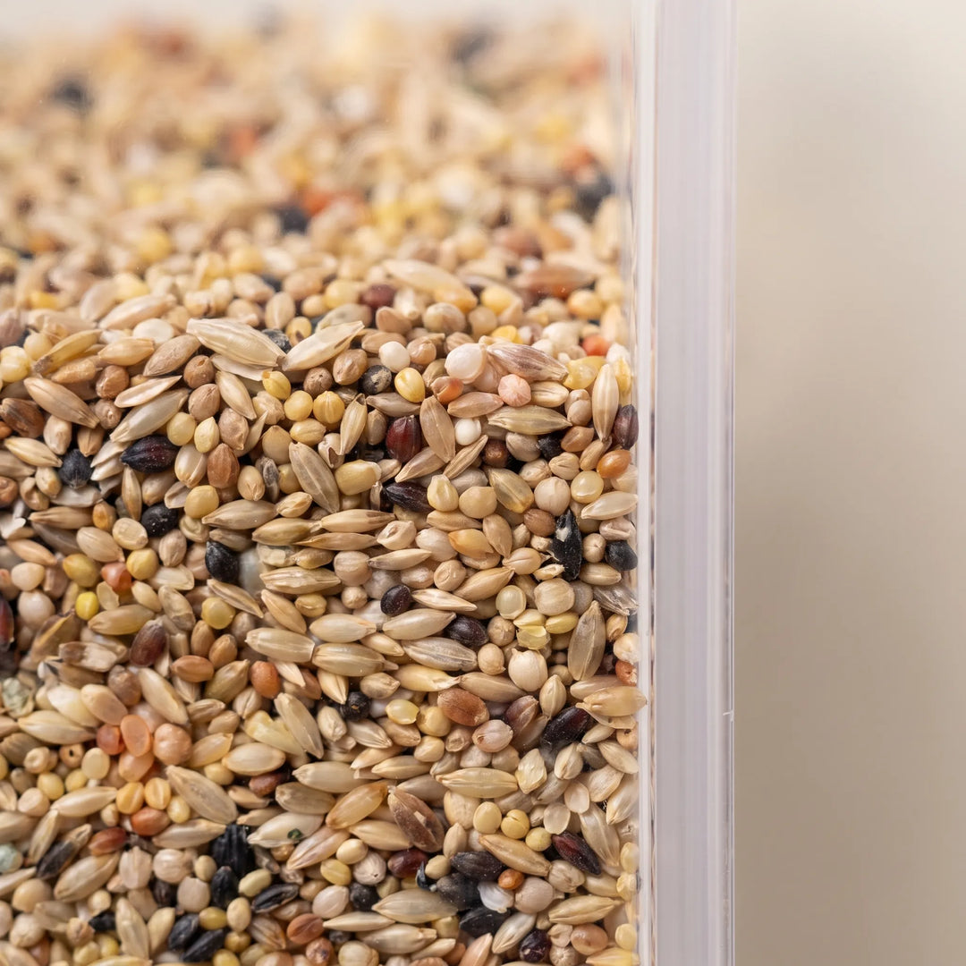 Close-up of mixed bird seed filling the clear plastic hopper, showing grains in several shades of tan, brown, red and black. 4