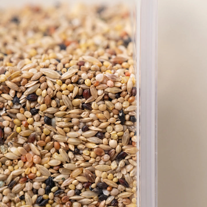 Close-up of mixed bird seed filling the clear plastic hopper, showing grains in several shades of tan, brown, red and black. 4