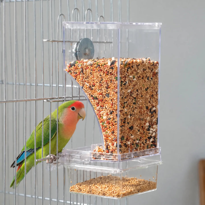 A green and peach-faced lovebird perched on the cage bars beside the seed-filled feeder hanging on the wire. 2