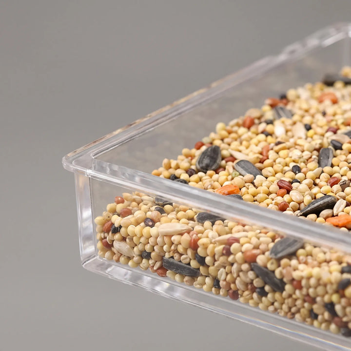 Close-up of the feeder's clear lower tray, with mixed seeds including sunflower seeds and millet visible inside. 3