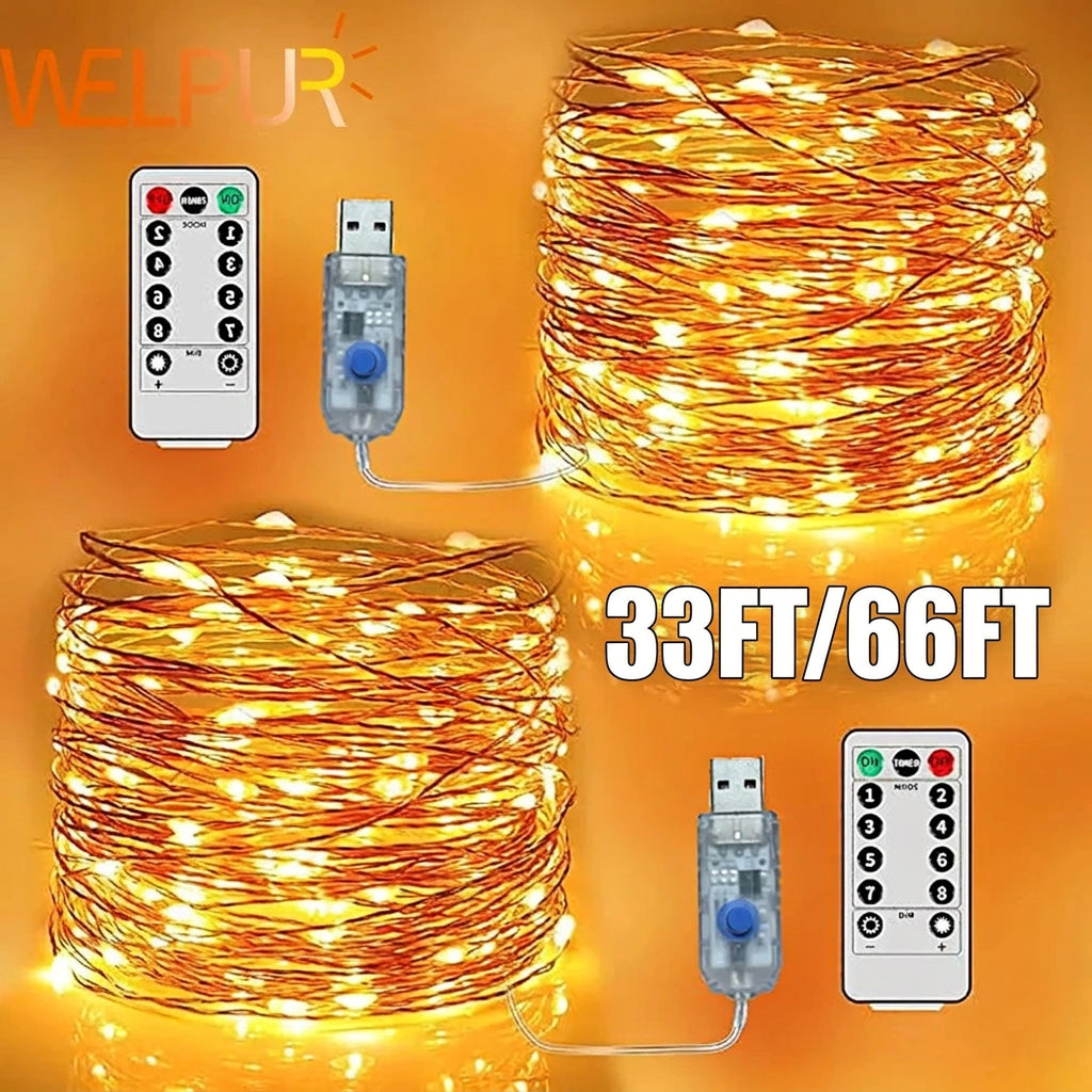 Two glowing warm coils of thin wire lights, each shown with a USB plug and remote 2