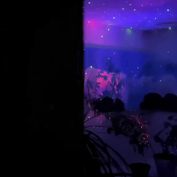 Dark room lit by a purple and blue starry projection, with houseplant silhouettes in the foreground.