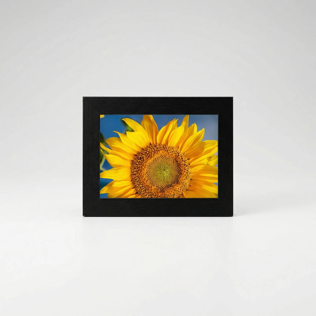 Verwisselbaar Fotolijstenset Met Galerielook - Gallerivo