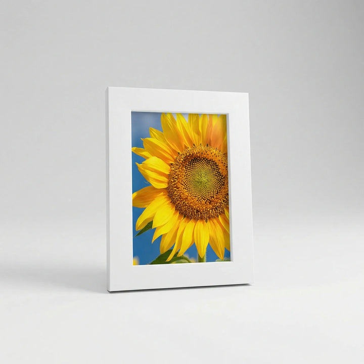Verwisselbaar Fotolijstenset Met Galerielook - Gallerivo