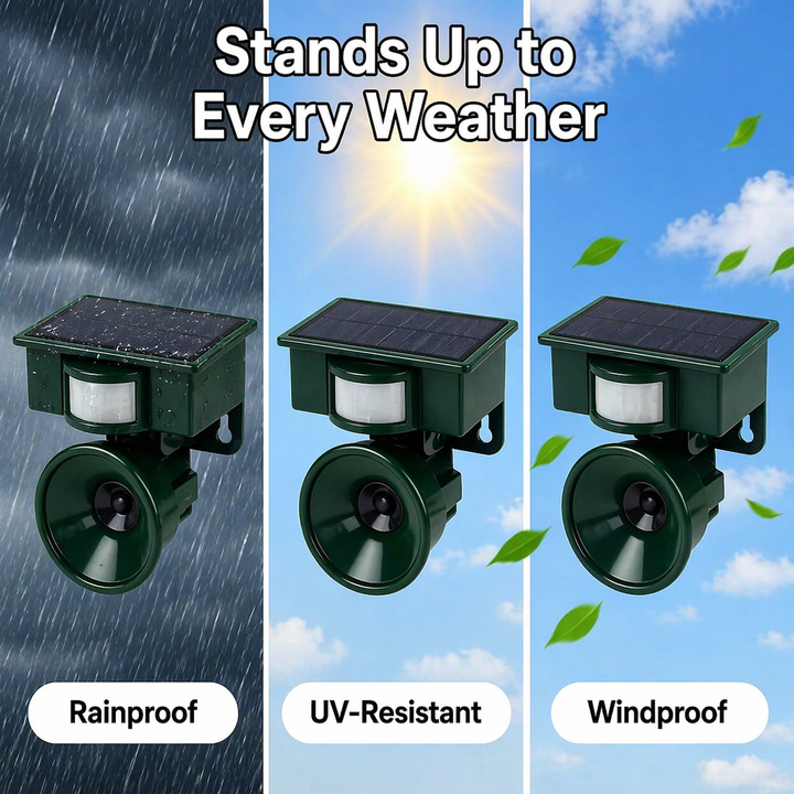Three bird deterrent units shown against rainy, sunny and windy backgrounds.
