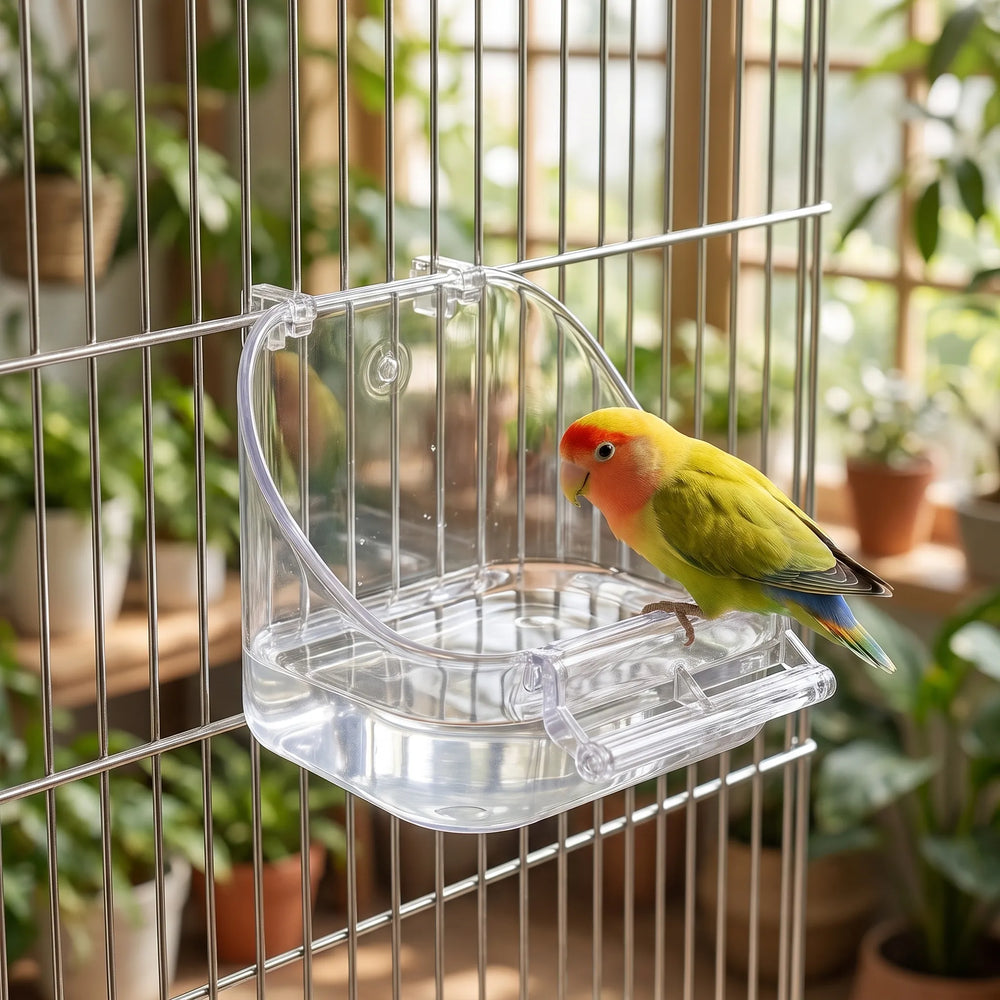 Clear hanging bird bath attached to a wire cage, filled with water, with a yellow, orange and green lovebird perched on its front bar. 2