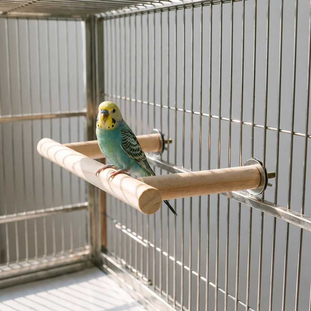 A blue and yellow budgie sits on the wooden perch bolted inside a wire cage, with metal washers securing it to the bars. 2