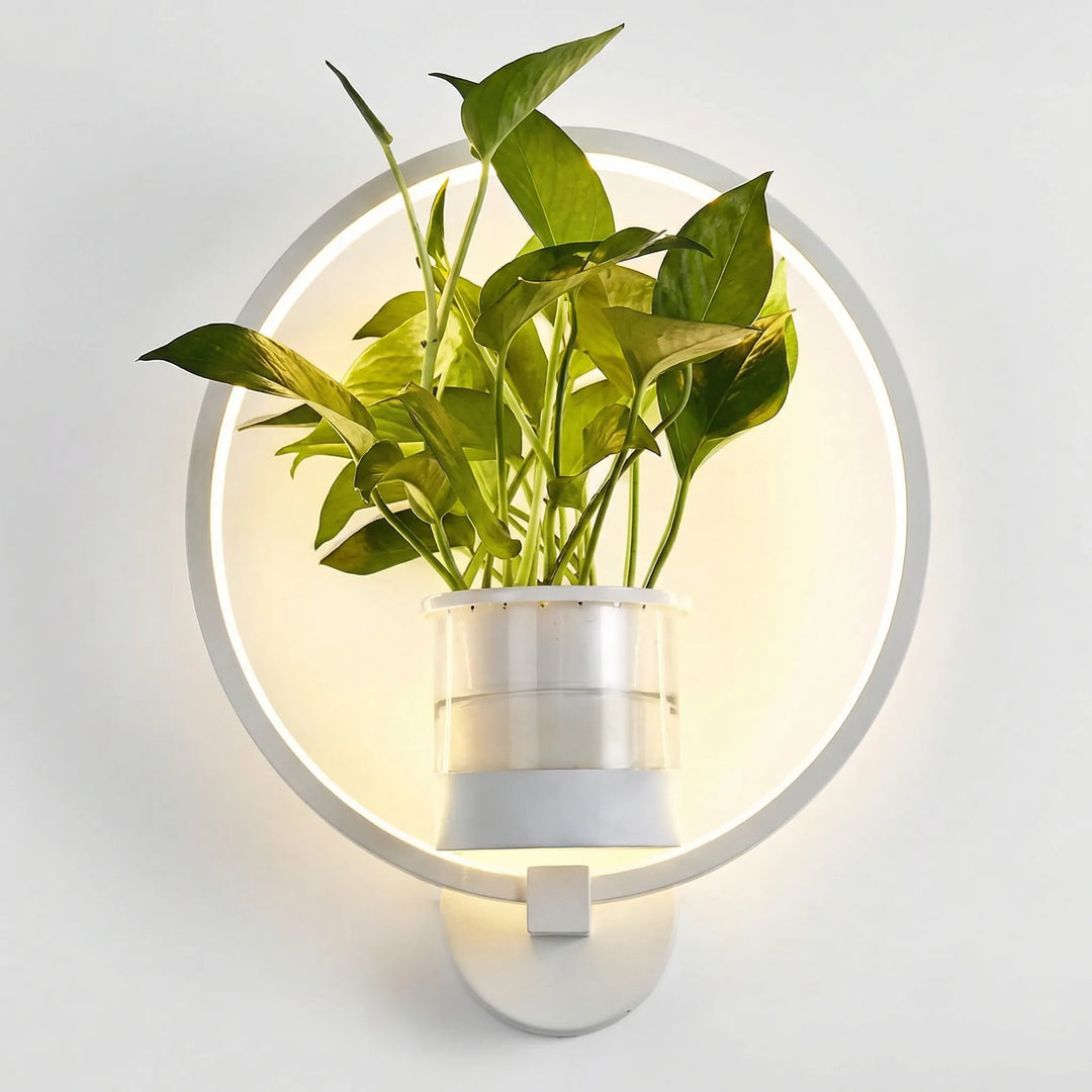 Wall Mounted Plant Lamp - Luminflora