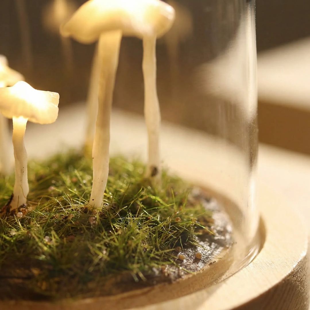 Zelfgemaakt Paddenstoelen-Nachtlampje Onder Glazen Koepel - Forestdome
