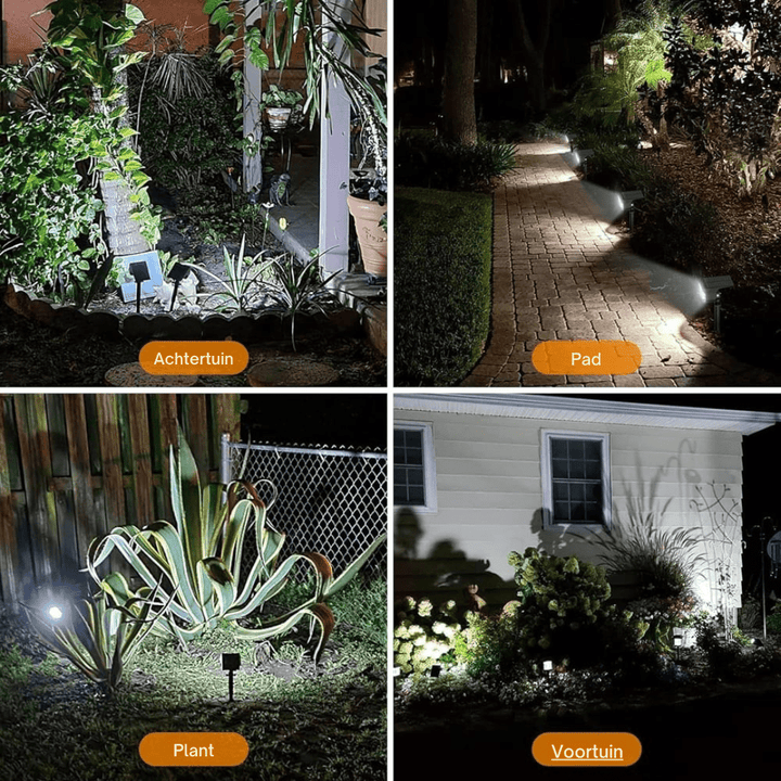 Four-panel collage of cool-white black solar lights in a backyard, along a path, on a spiky plant and in a front garden.