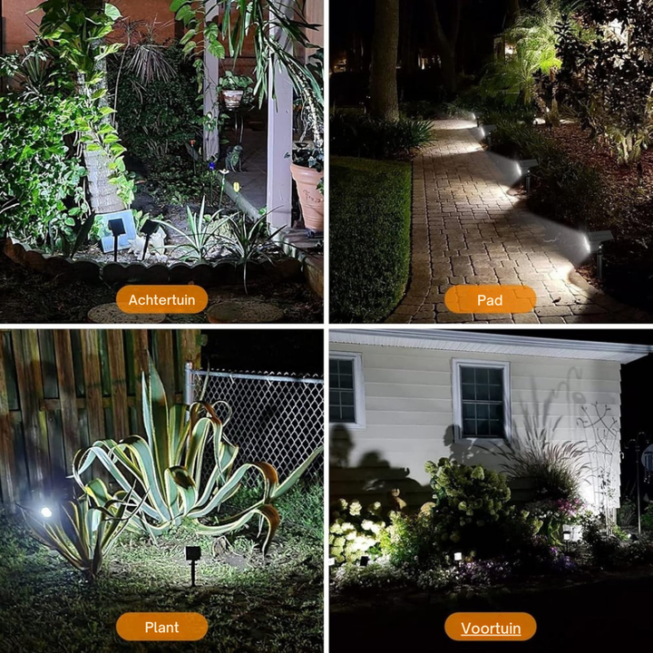 Four-panel collage of the spotlights shining bright white at night on a backyard, a path, a large plant and a front garden. 9