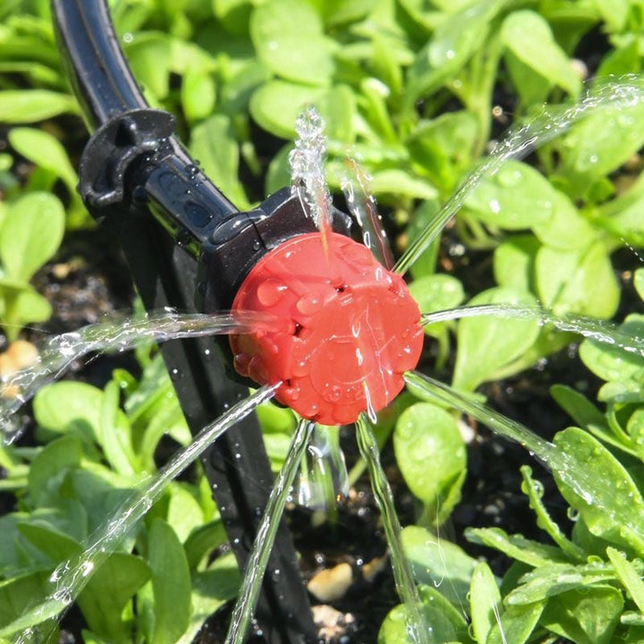 Red dripper on black tubing watering small green seedlings in dark soil.