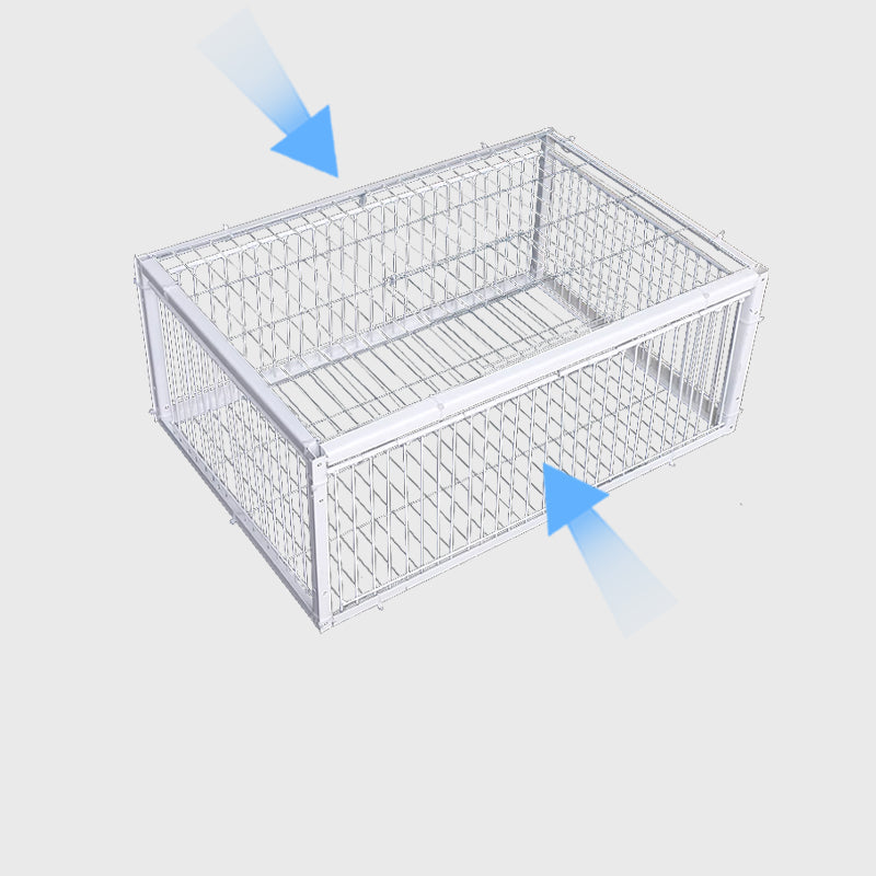 Animal-Friendly Bird Trap with Anti-Backlash Protection – BirdSafe Trap-2 Entrances-Nora Luxe