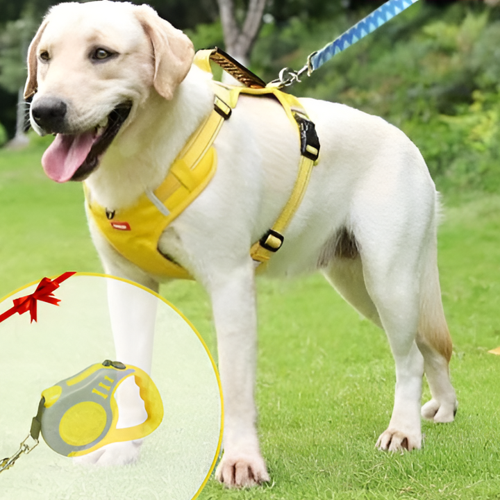 Anti-Trek Dog Harness - FlexiFit-Yellow-XS (5.51 - 11.02 lbs)-Nora Luxe