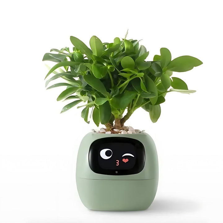 Automatic Smart Flowerpot - GreenBuddy SmartPot-Green-Nora Luxe
