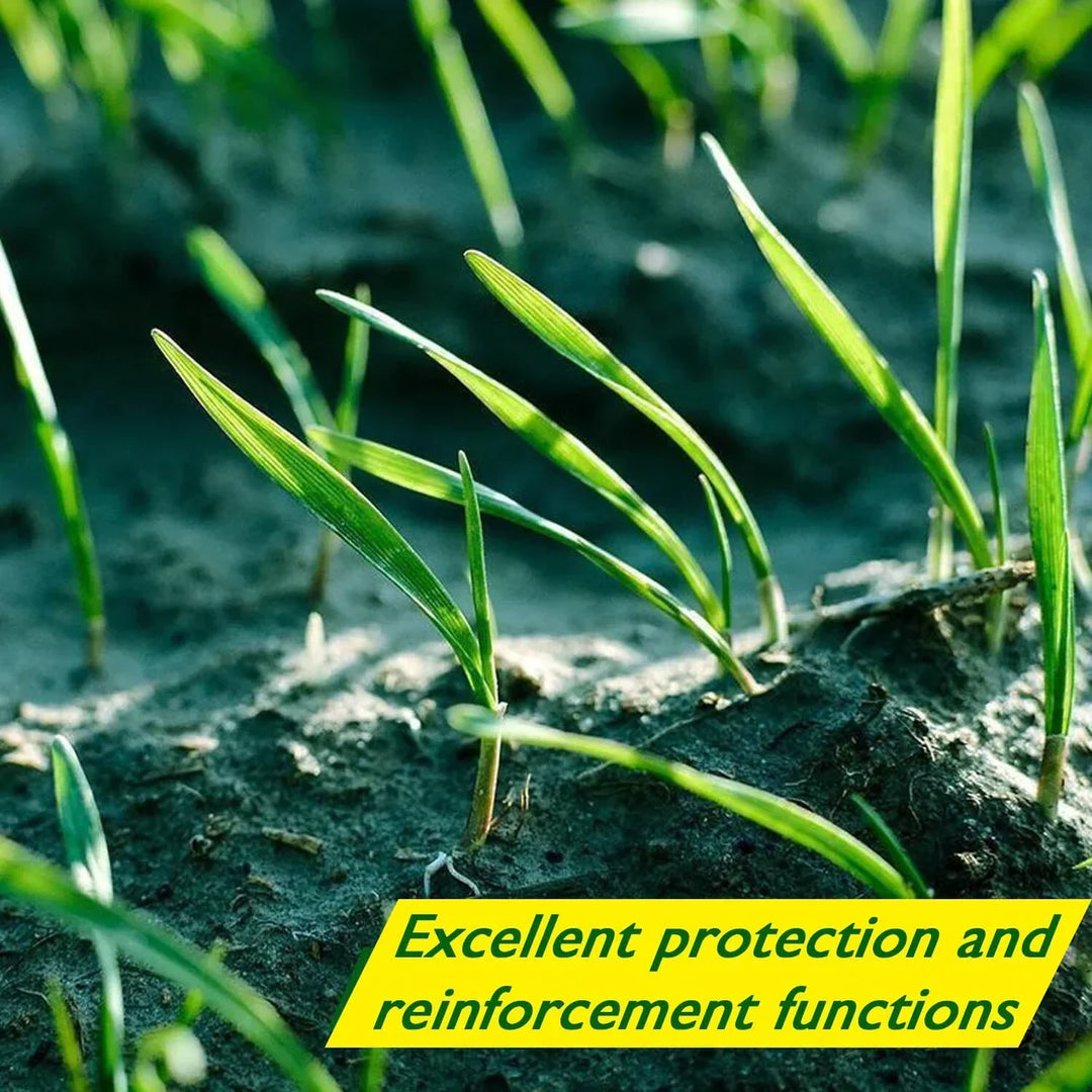 Biodegradable Grass Seed Mat - Verdi-The Livary