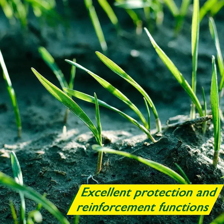 Biodegradable Grass Seed Mat - Verdi-The Livary