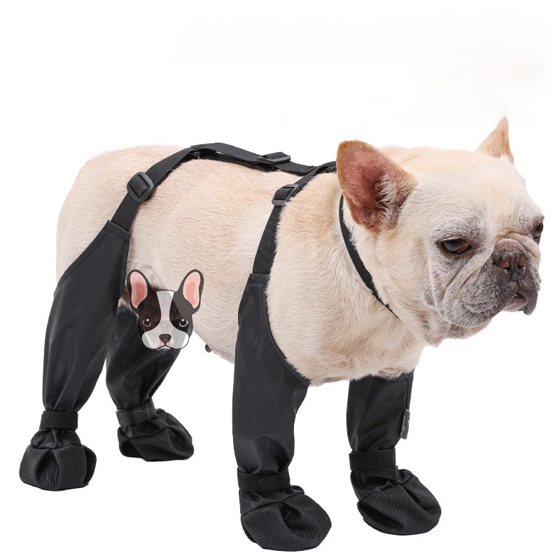 Boots for Safe Outdoor Adventures - PawShield-S-Nora Luxe