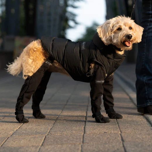 Boots for Safe Outdoor Adventures - PawShield-S-Nora Luxe