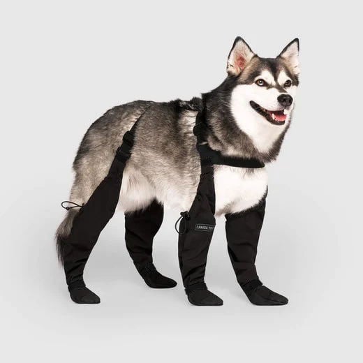 Boots for Safe Outdoor Adventures - PawShield-S-Nora Luxe