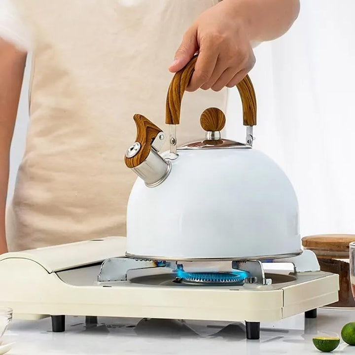 Stainless Steel Kettle with Whistle – Kavana