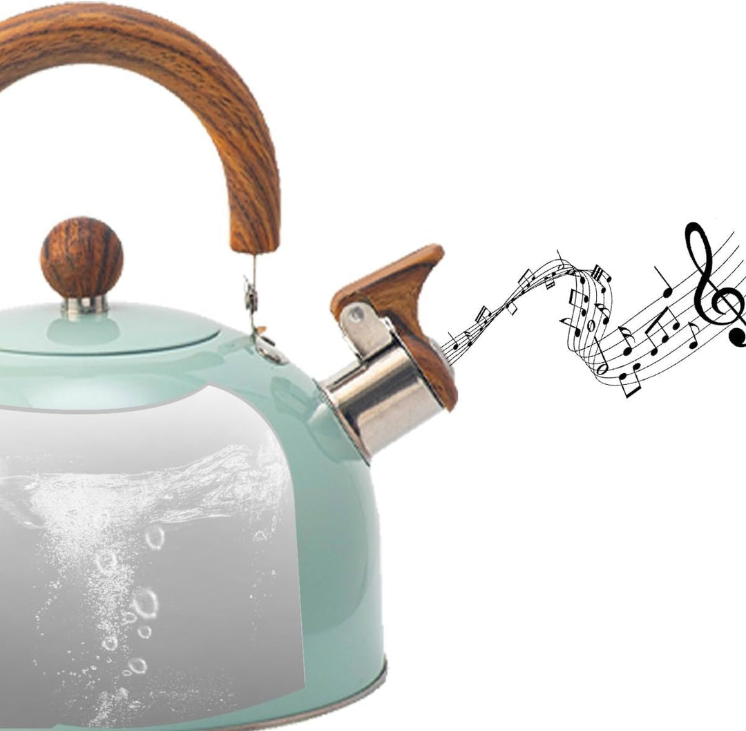 Stainless Steel Kettle with Whistle – Kavana