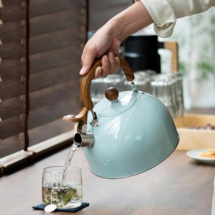 Stainless Steel Kettle with Whistle – Kavana