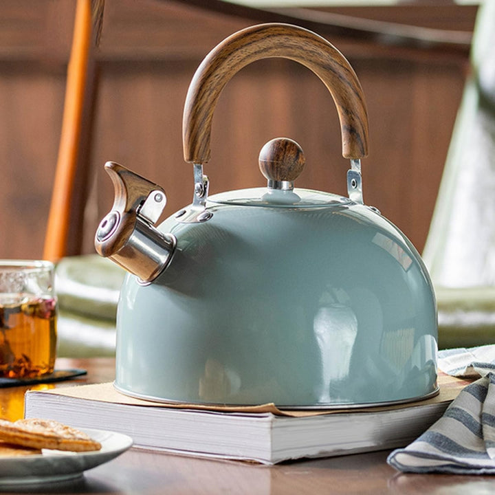 Stainless Steel Kettle with Whistle – Kavana