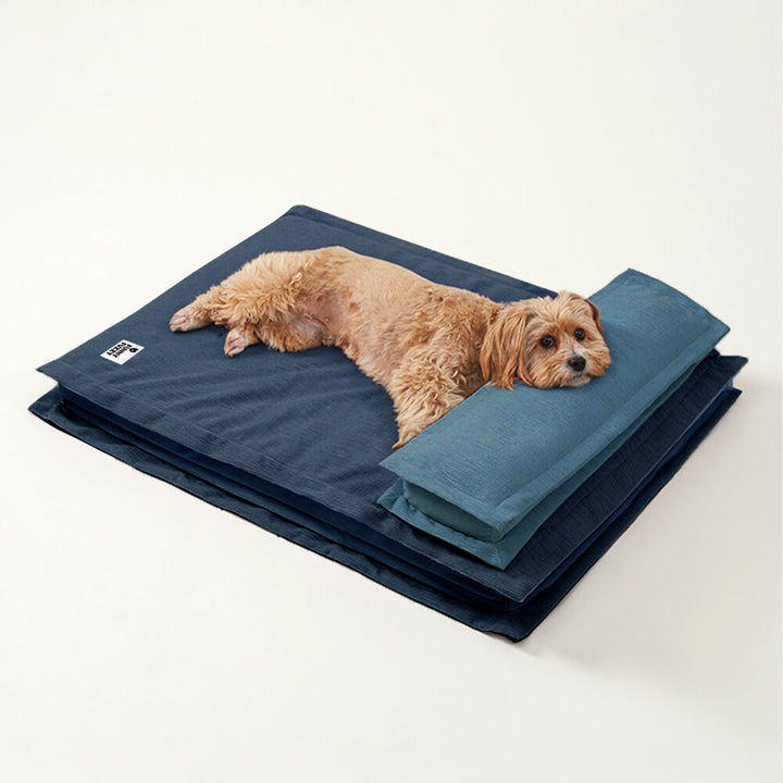Calming Dog Bed - CozyCalm Deep Sleep-Dark Blue-S-Nora Luxe