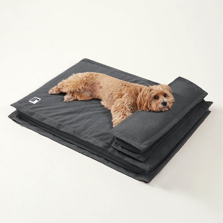 Calming Dog Bed - CozyCalm Deep Sleep-Gray-S-Nora Luxe