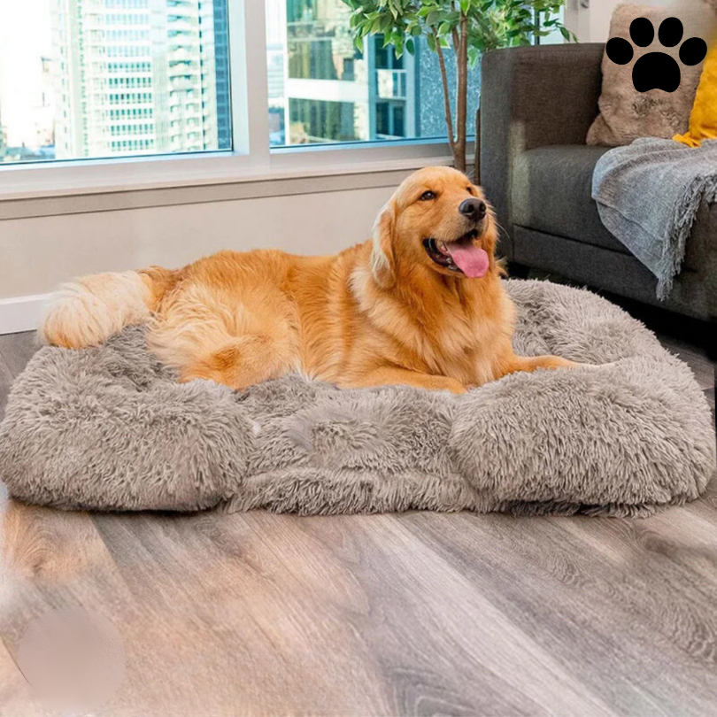 Calming Dog Bed with Memory Foam - Charlie-Anthracite-S-Nora Luxe