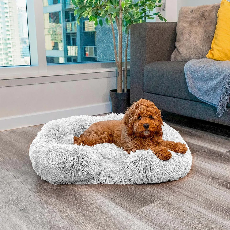 Calming Dog Bed with Memory Foam - Charlie-Anthracite-S-Nora Luxe