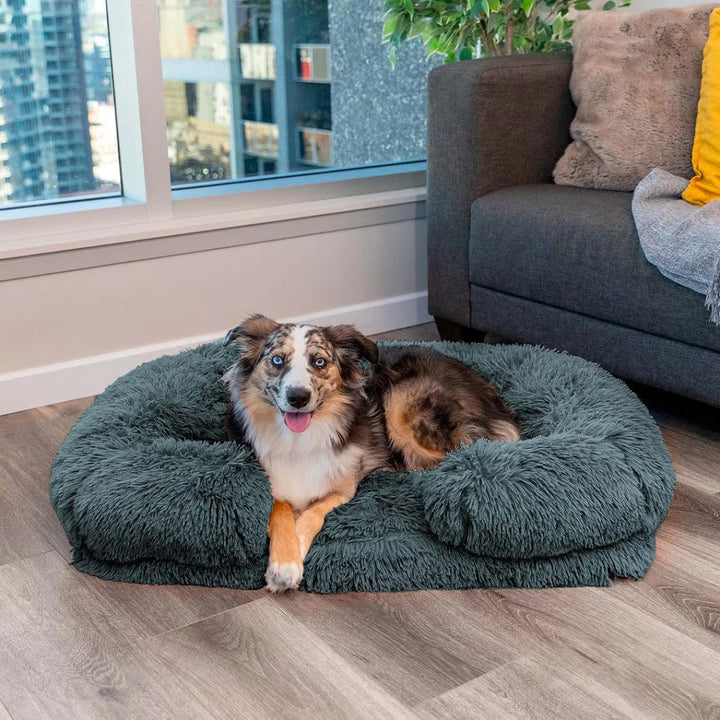 Calming Dog Bed with Memory Foam - Charlie-Anthracite-S-Nora Luxe