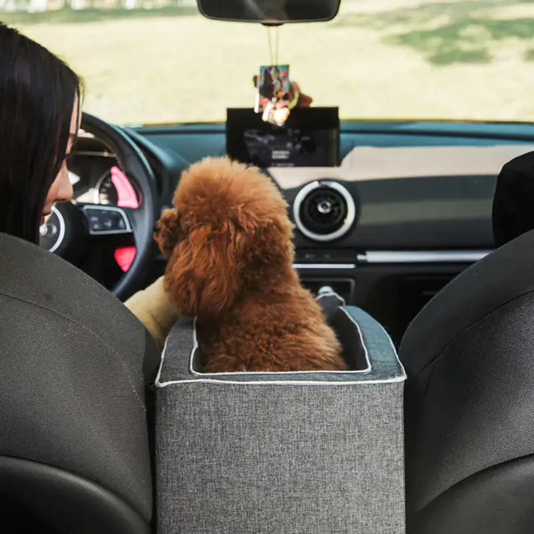 Car seat for Pets - PawVoyage-Gray-Nora Luxe