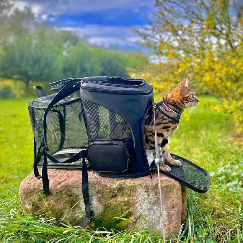 Cat backpack - PurrPack™-Gray-Nora Luxe