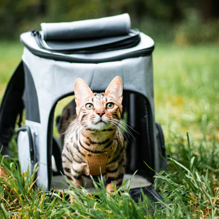 Cat backpack - PurrPack™-Gray-Nora Luxe