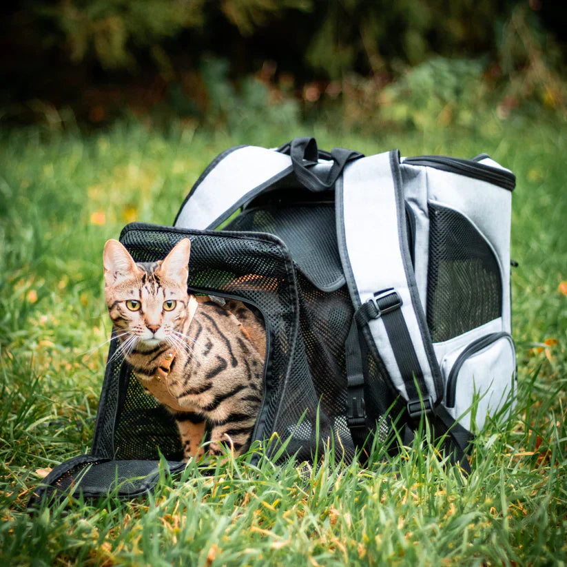 Cat backpack - PurrPack™-Gray-Nora Luxe