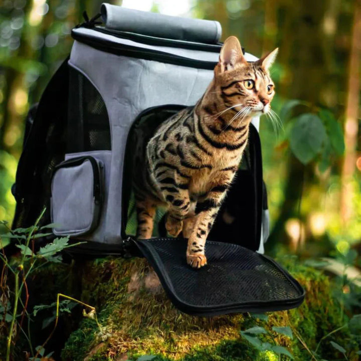 Cat backpack - PurrPack™-Gray-Nora Luxe