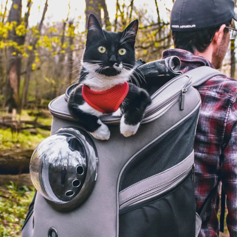 Cat Carrier - CatTrekker-Beige-Nora Luxe