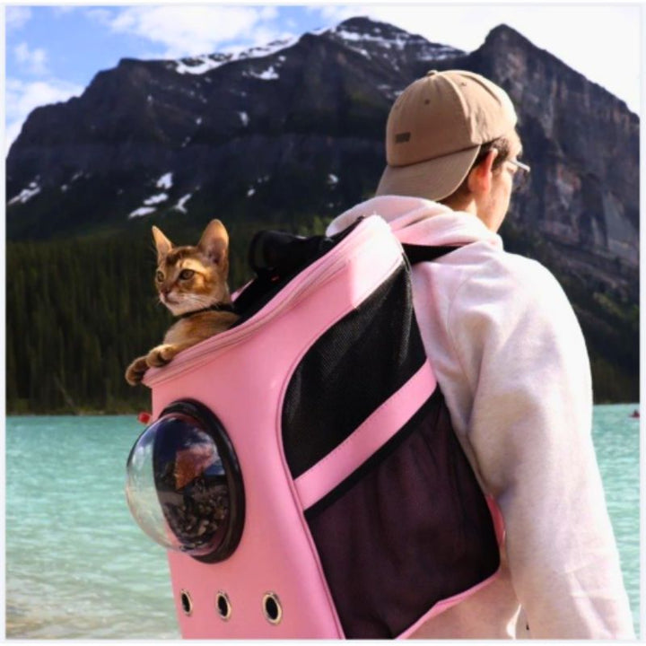 Cat Carrier - CatTrekker-Beige-Nora Luxe