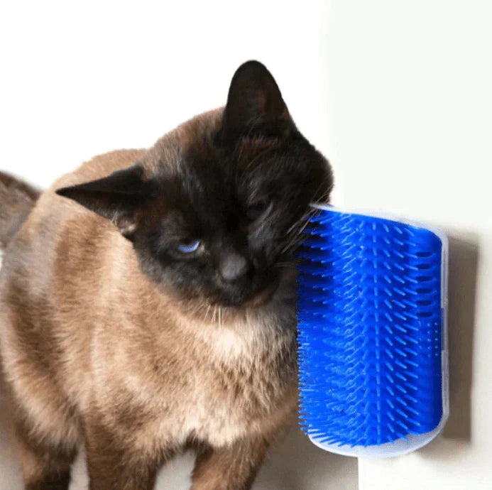 Cat Corner Brush for Self-Care - PurrGroom-Blue-3.54x5.12 inches-Nora Luxe